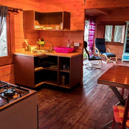 Finca Pura Vida Blockhaus Mazo Zewnętrze zdjęcie
